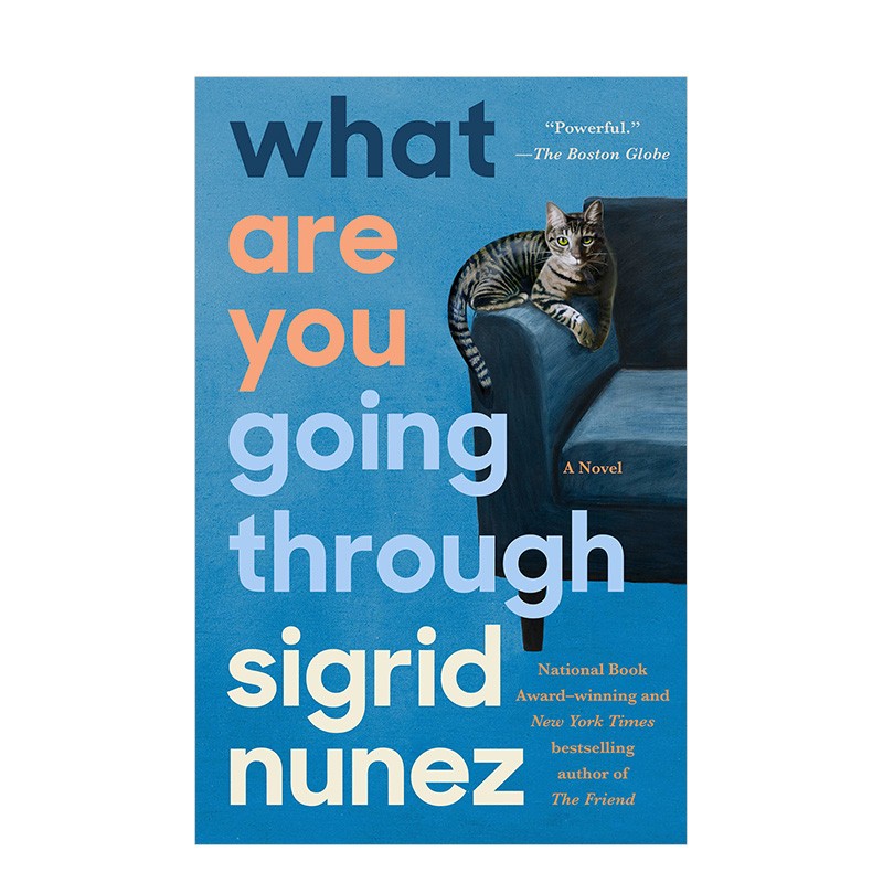 going through 都市孤独生活反照自我审视心灵励志虚构小说 sigrid