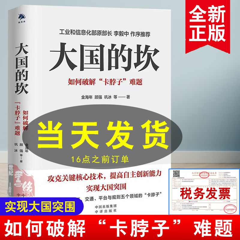 大国的坎如何破解卡脖子难题金海年金融科技问题供应链36讲中国经济理论实体经济能源制造技术十四五规划战略目标书籍政治经济学