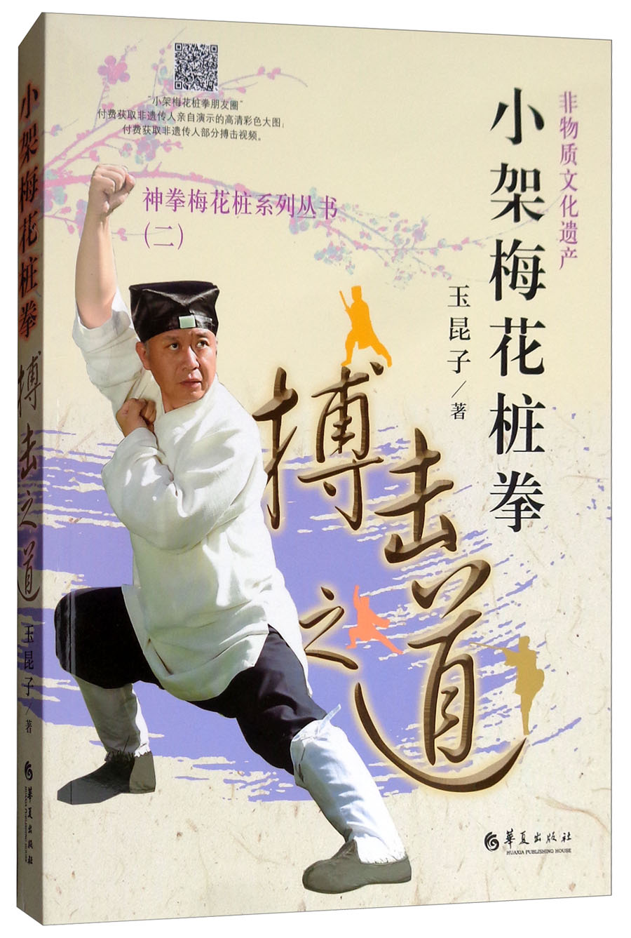 小架梅花桩拳
