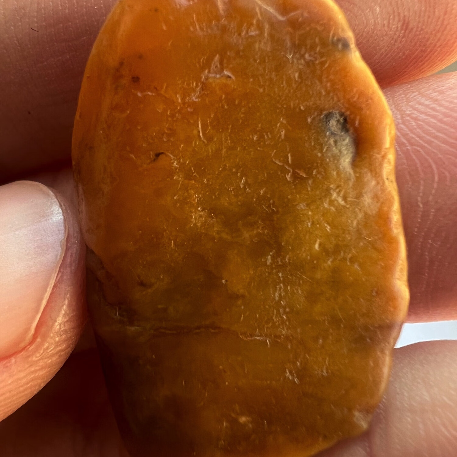 福建寿山田黄石8.21克