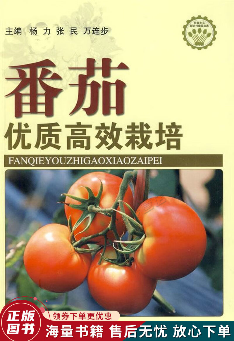 番茄优质高效栽培