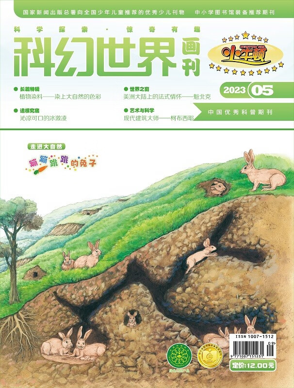 《科幻世界画刊》(小牛顿)2023年5期