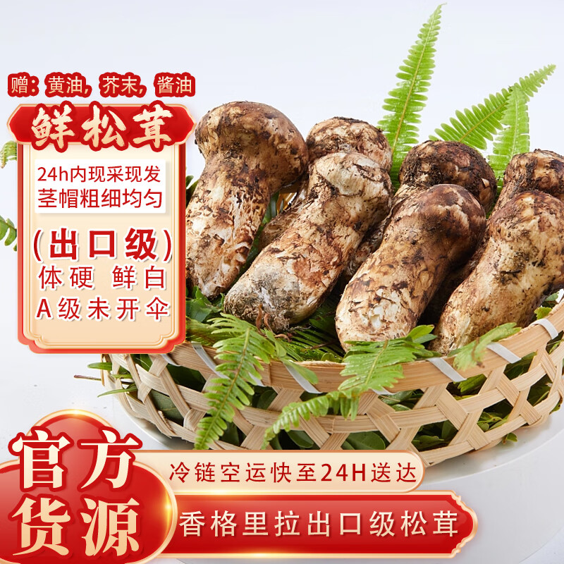 云芳斋香格里拉新鲜松茸 中秋礼品礼盒送礼 出口级未开伞松茸5-7cm 500g属于什么档次？
