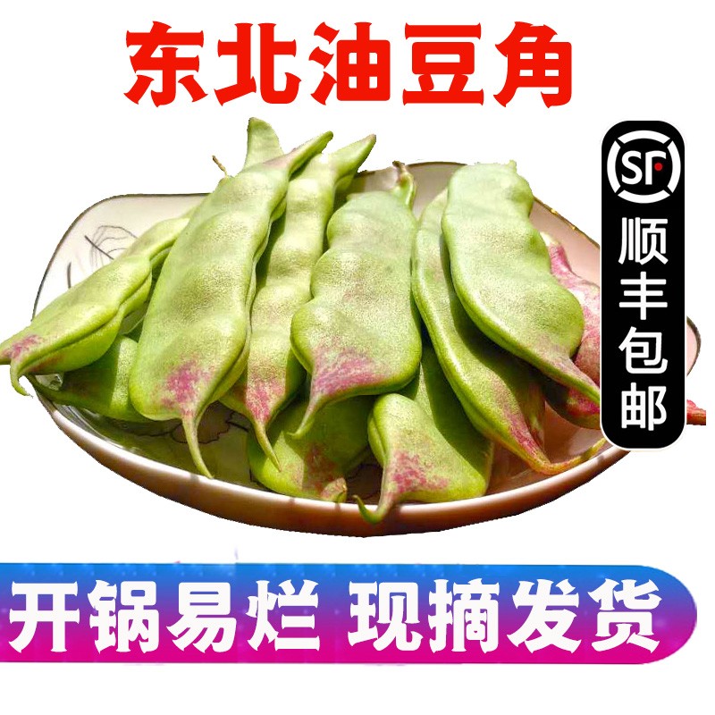 【顺丰】东北油豆角 一点红豆角 新鲜蔬菜 5斤