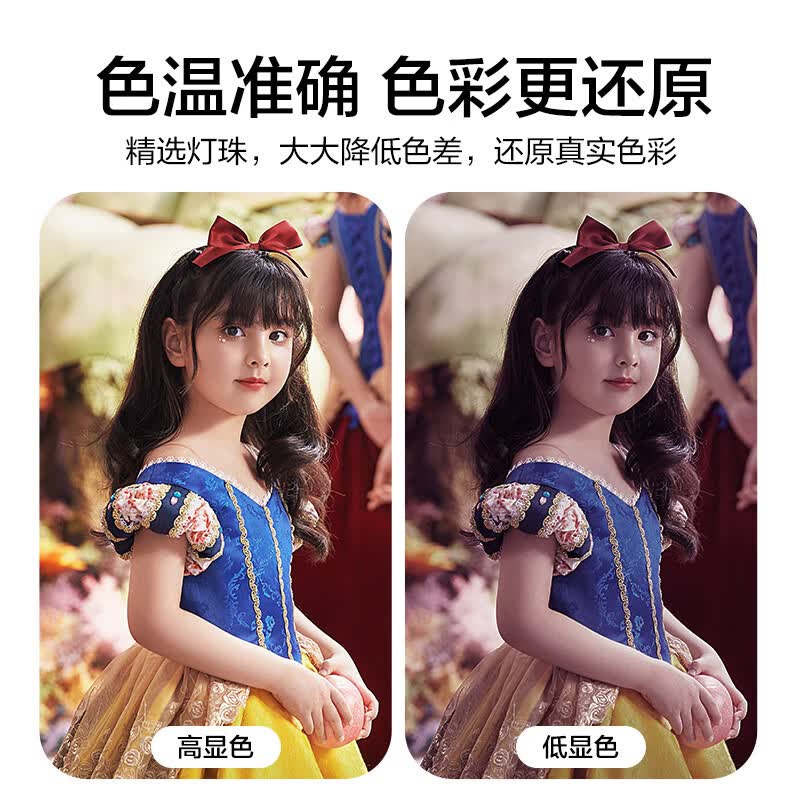 南冠多功率双色温FS-150B/200B/300B短视频直播灯LED常亮灯室内摄影人像创意造型婚纱美食拍照灯 FS-200B+90*60四角柔光箱+蛋格+灯架