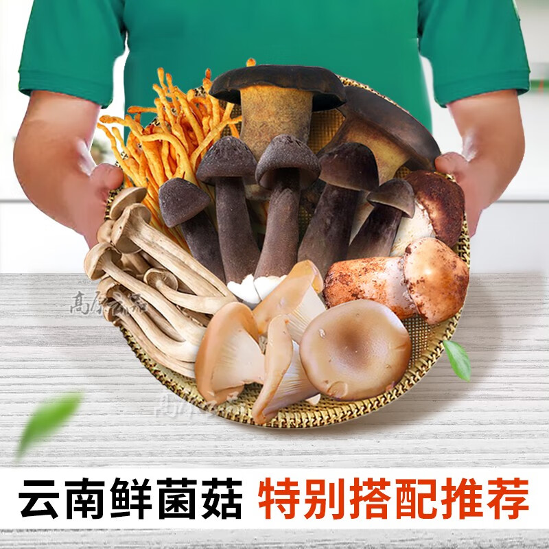 高原云品云南新鲜菌菇组合 【火锅菜】 多种食用菌新鲜搭配 营养美味 6种鲜菌菇组合共1000克