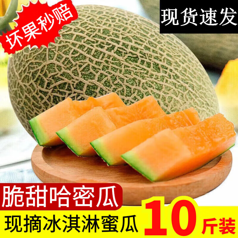 如何查看瓜的历史价格|瓜价格走势图