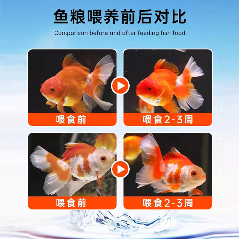 鱼麒麟金鱼主食饲料兰寿小泰狮专用高蛋白不浑水益生菌锦鲤鱼食观赏鱼粮 兰寿/蝶尾增色饲料220ml(下沉型）