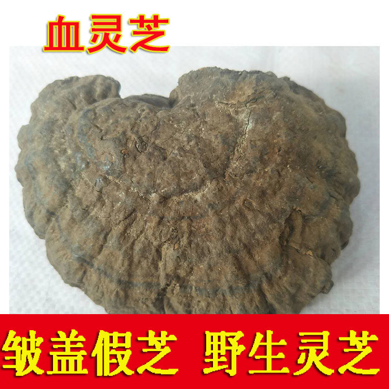 皱盖灵芝 黑芝 玄芝黑肉假芝假芝皱盖假芝香血灵芝 假芝血灵芝250克