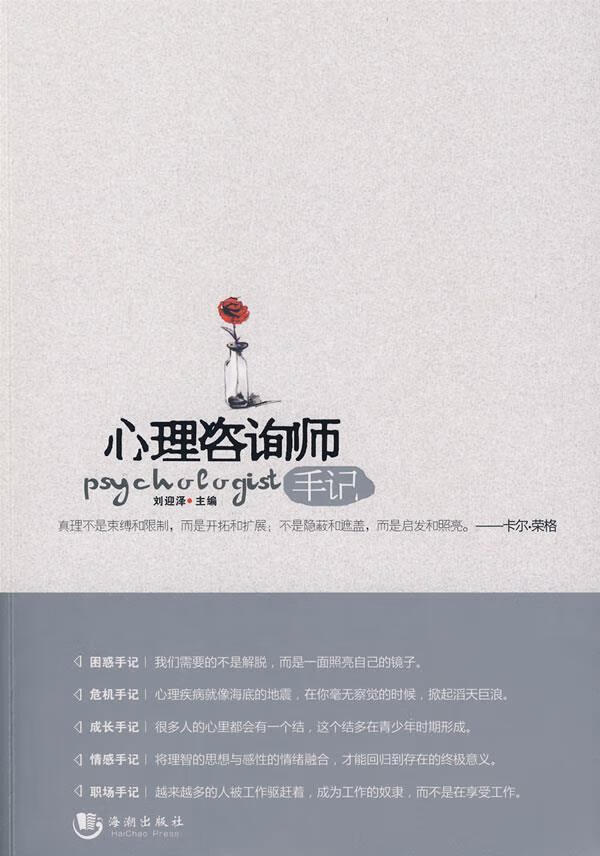 心理咨询师手记 刘迎泽主编【正版书】