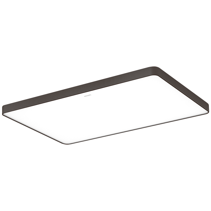 飞利浦（PHILIPS）LED吸顶灯客厅大灯具全屋套餐三室两厅卧室灯餐厅灯现代简约 悦轩 两房一厅套餐115W+36W*2