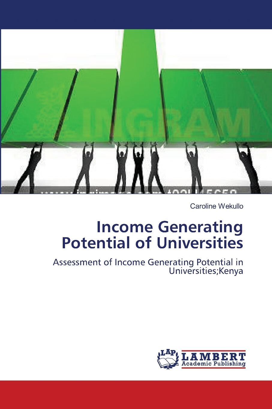 【预售按需印刷】income generating potential of universities