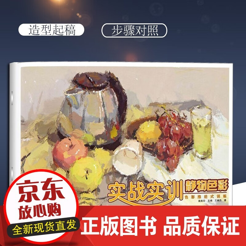 实战实训静物色彩王献杰