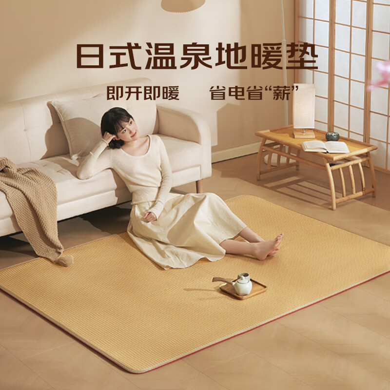 Huadn【高温断电】石墨烯地暖垫智能定时加热地垫电热地垫客厅家用款