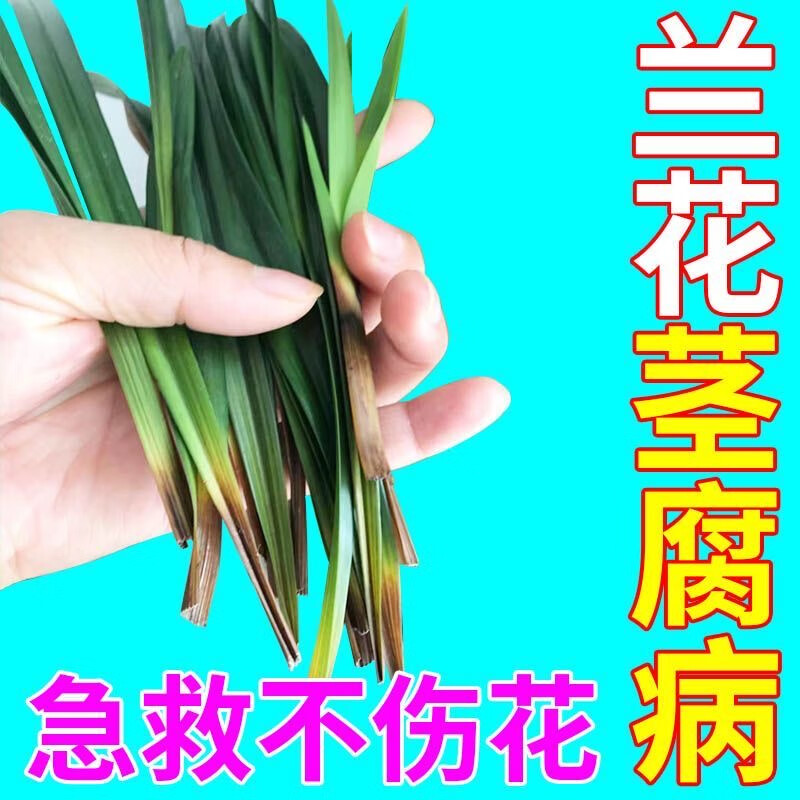 垄颖兰花茎腐病专用防白粉黑斑花卉月季多肉绣球花杜鹃盆栽通用营养液