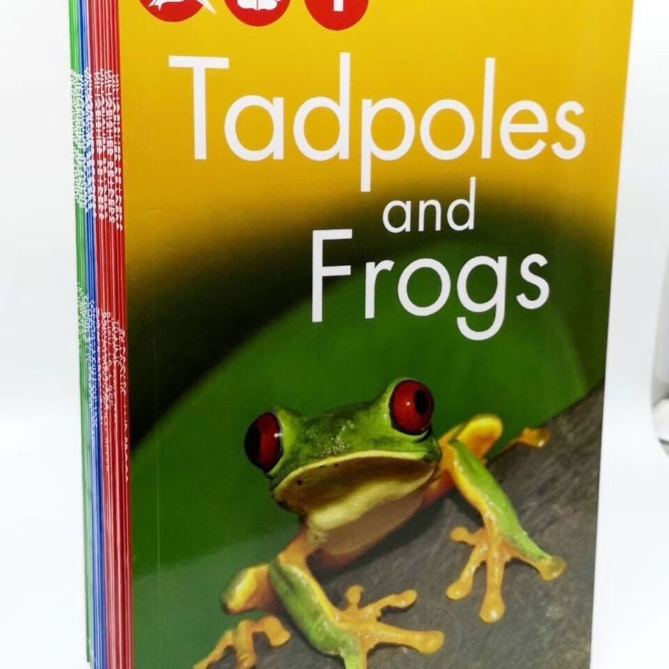 翠鸟分级读物系列 Kingfisher 