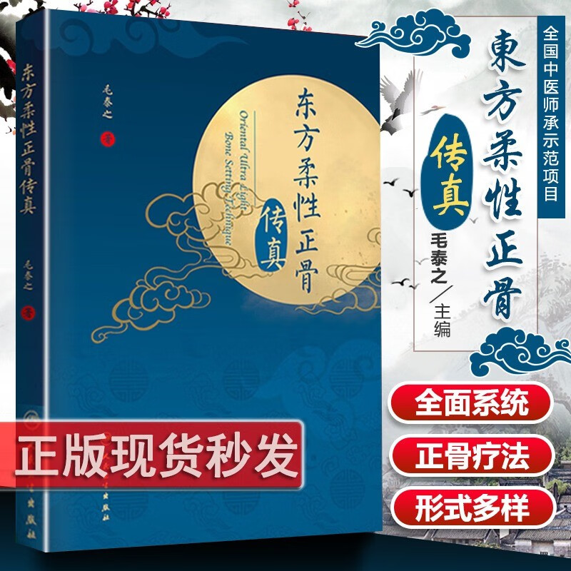 正版东方柔性正骨传真正骨箴言临床正骨日记病例经验心得毛泰之著临床