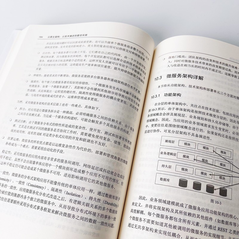 云原生架构：从技术演进到最佳实践(博文视点出品)详情图