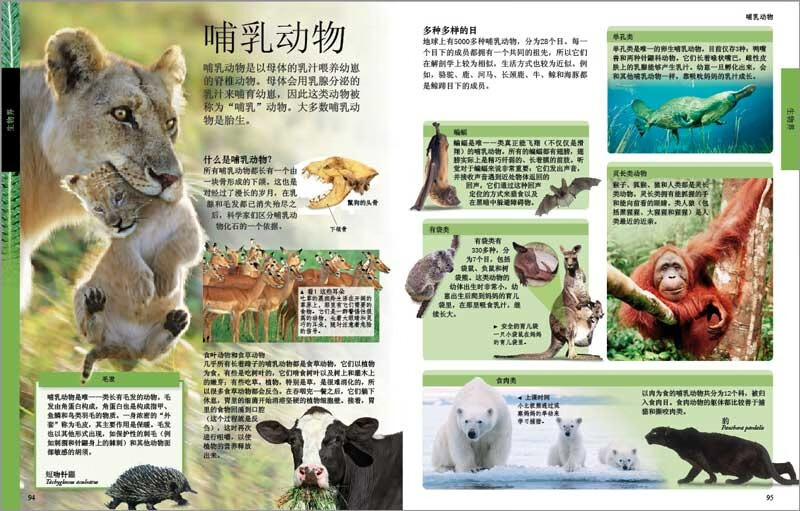 DK儿童百科全书（2021年全新印刷） 开学必备 课外读物详情图
