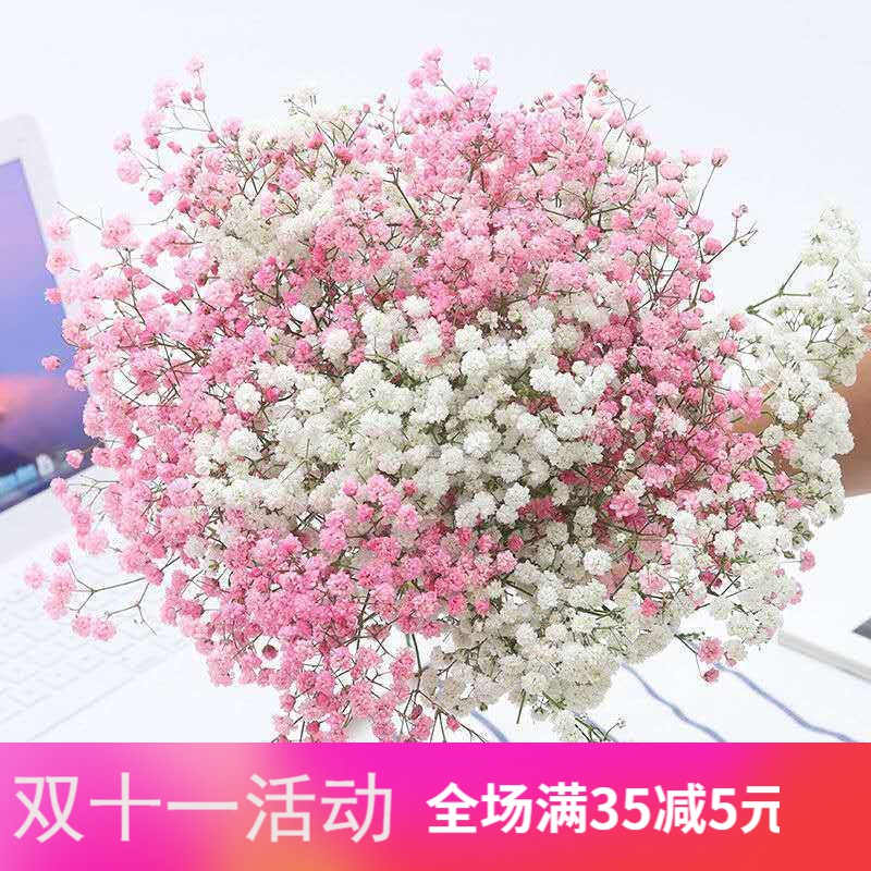 满天星干花花束客厅摆设插花5.