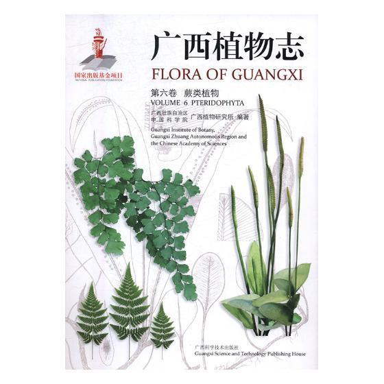 广西植物志：第六卷：蕨类植物广西壮族自治区广西植物研究所广西科学技术出版社9787555100768