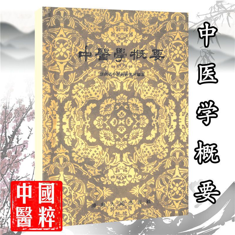 中医学概论 中医学概要 湖南省中医药研究所湖南人民出版社