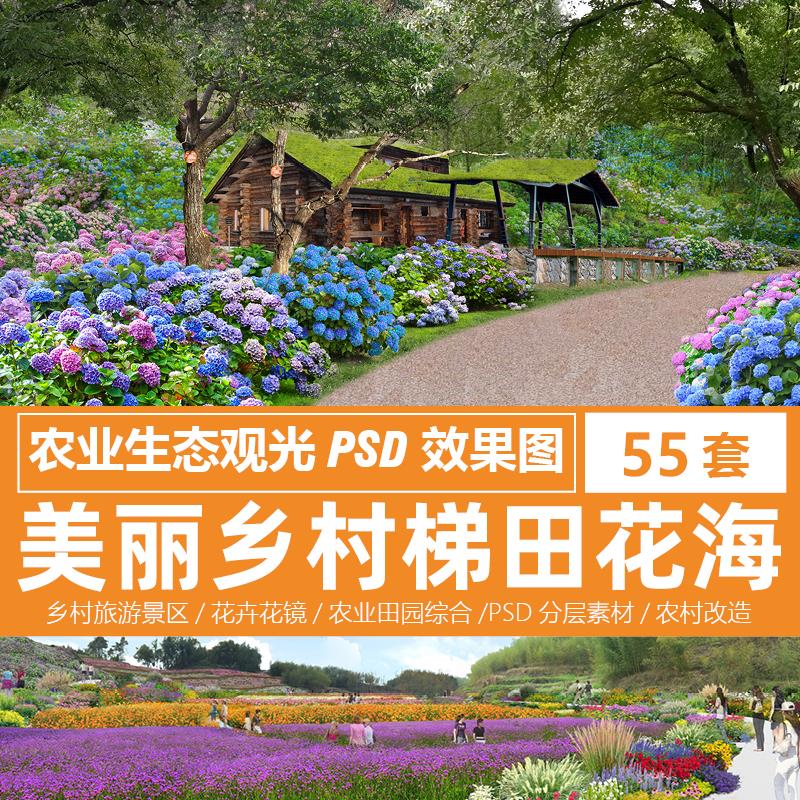 美丽乡村花海梯田psd效果图农村旅游农业观光景观规划