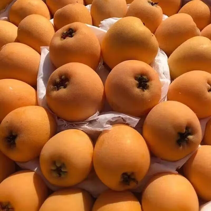 ���������Ĵ���������Ӧ��ˮ��������  ��2�ݺϷ�һ�� 2��װ /����1.5�� ����40-45�� ��ѡ�Ĵ������紺���� 22.99Ԫ