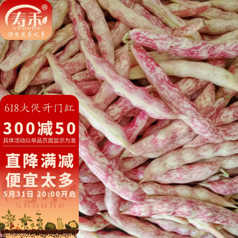 寿禾 四季豆种子芸豆黄金钩豆角架豆菜豆蔬菜种孑春冬季种籽菜籽 黄金