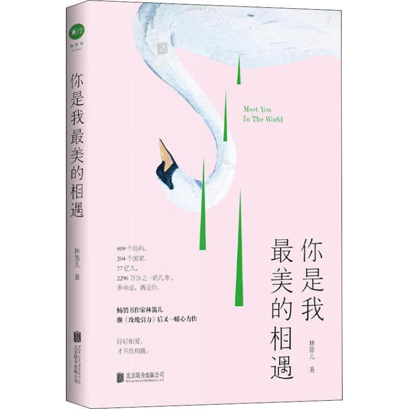 你是我最美的相遇 林笛儿 江苏凤凰文艺出版社有限公司