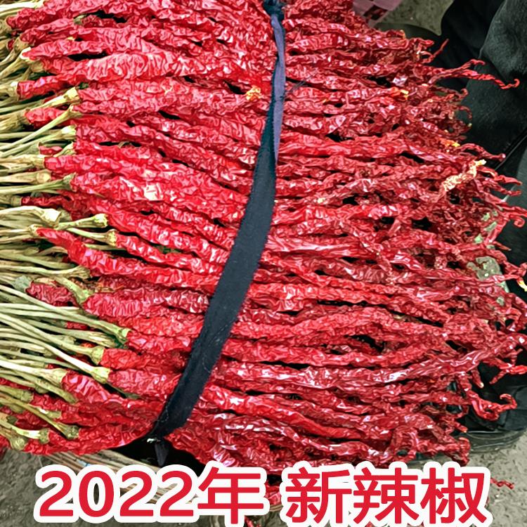 xywlkj大方皱皮干辣子线椒特香贵州特产微辣扎把干辣椒二荆条鸡爪辣