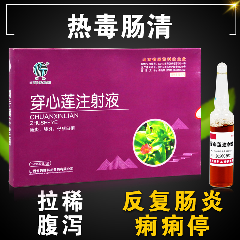 牧丰康药业穿心莲注射兽用 兽药针剂兽药小仔猪拉稀药 止痢 穿心莲