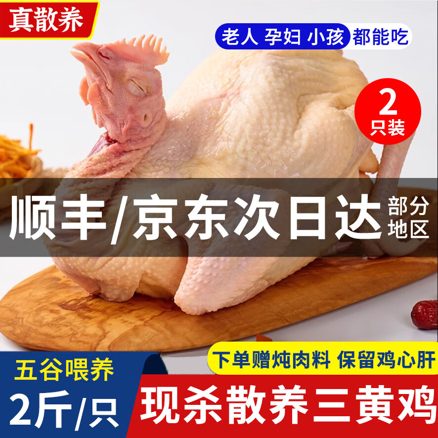 颐乡情三黄鸡童子鸡新鲜冷冻农家散养土鸡走地鸡食整只现杀正宗老母鸡 三黄鸡净重4斤/2只 赠炖肉料