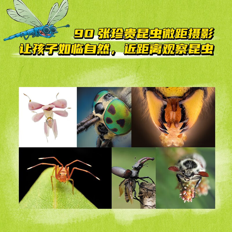 爆笑昆虫（套装6册）详情图