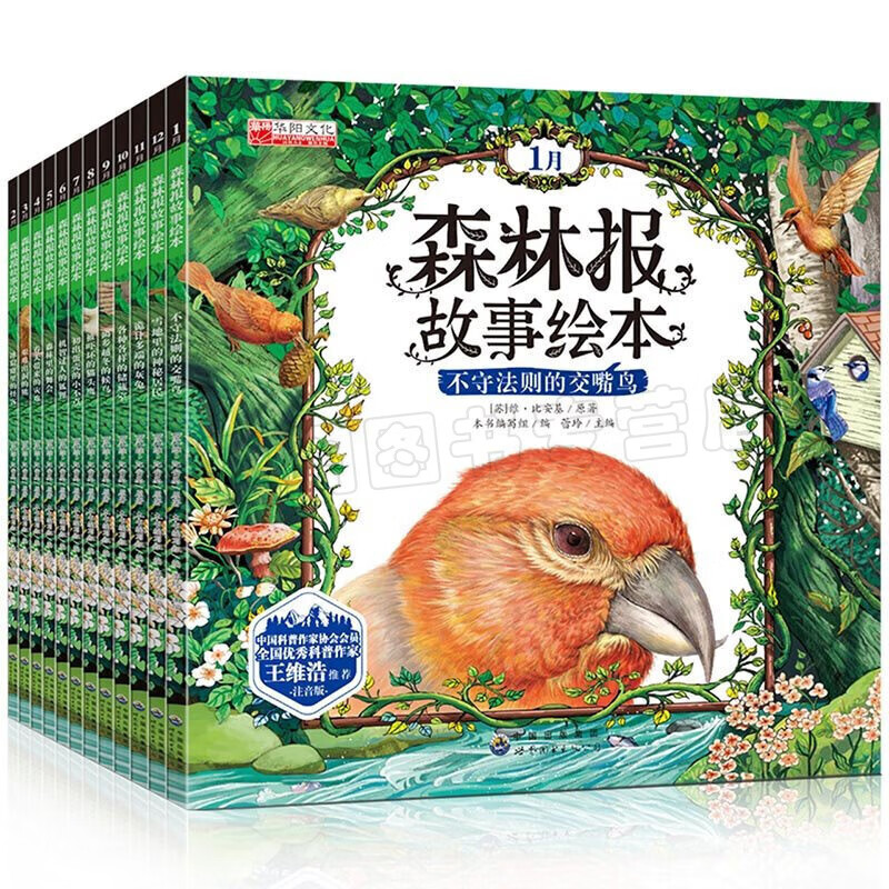 森林报故事绘本全套12册 彩图注音版 3-12岁儿童文学绘本故事百科全书