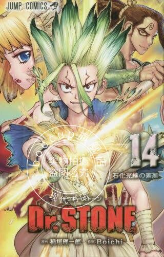 现货 进口日文 漫画 石纪元 Dr.STONE 14