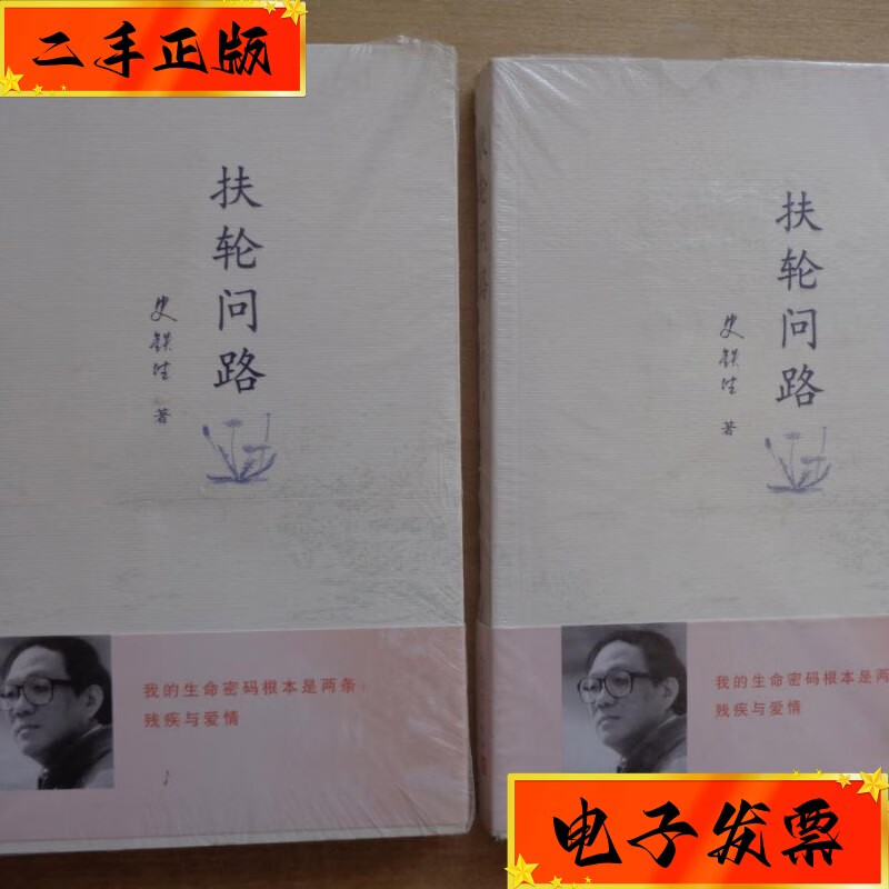 【二手九成新】扶轮问路 人民文学出版社