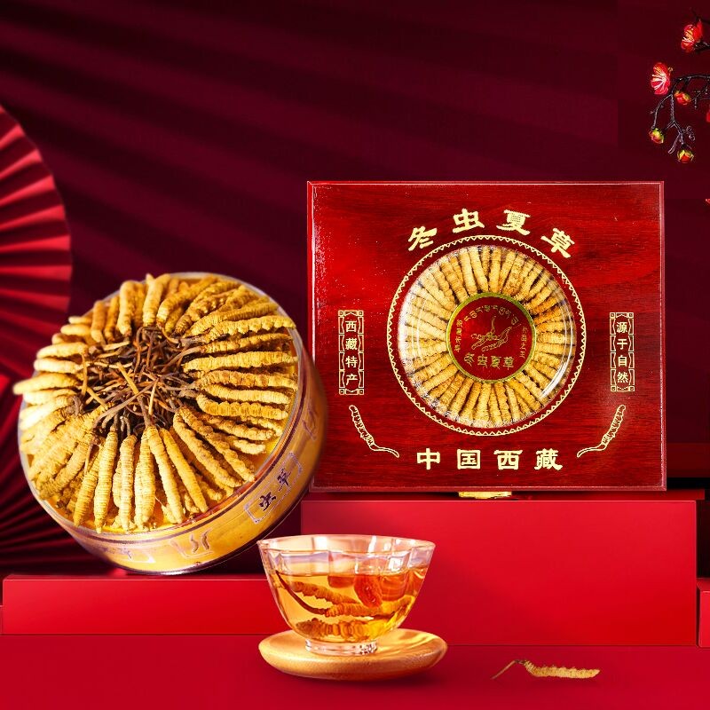 规模最大,品质最好的冬虫夏草——色季拉