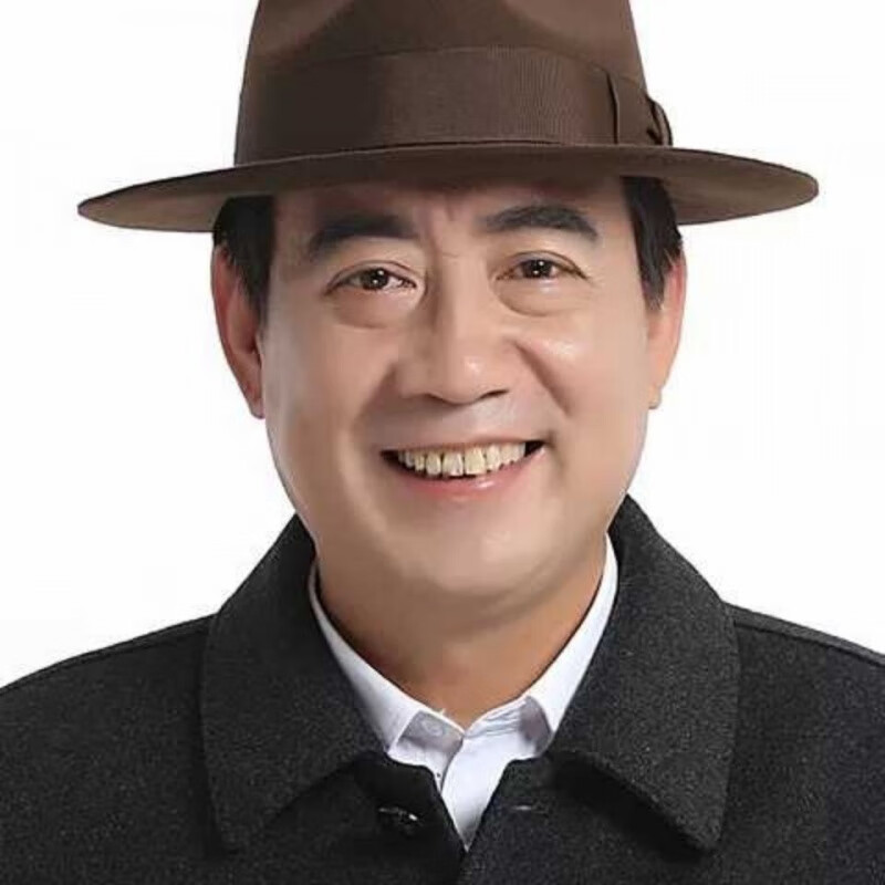 梧珑   毡帽男上海滩纯仿羊毛大檐礼帽男士英伦复古爵士帽秋冬加大码