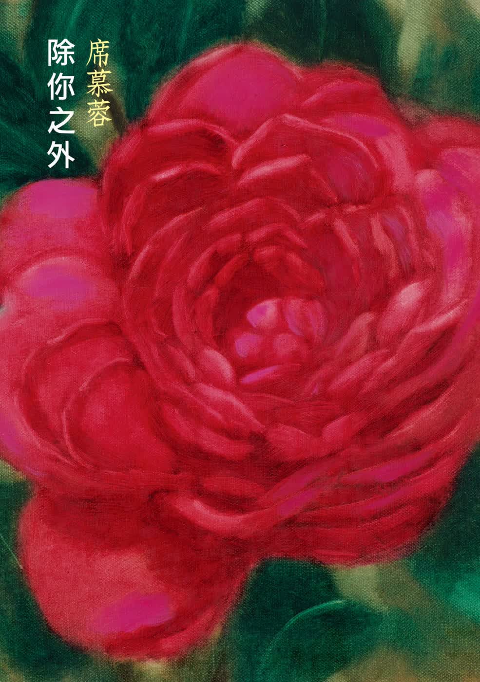 预售 席慕蓉 除你之外 圆神