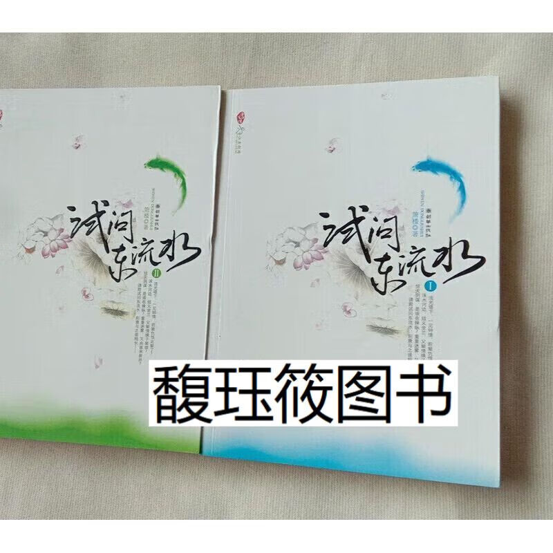 试问东流水(全二册)箫楼著 2008