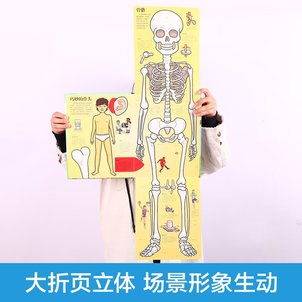 3-6岁乐乐趣揭秘翻翻书热销系列（全16册）揭秘汽车/海洋/太空/恐龙/人体少儿科普书 好玩又有趣详情图