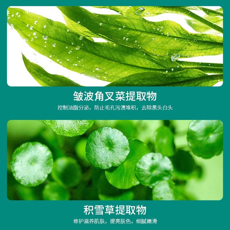 碧素堂（BISUTANG）【第二件￥10】BST洗面奶屈臣i氏乳糖酸黑头粉刺控油敏感肌洗面奶 1支装