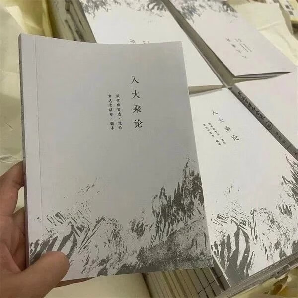 《入大乘论》 索达吉堪布 荣索班智达 译 属于M 不得随意翻阅请注意
