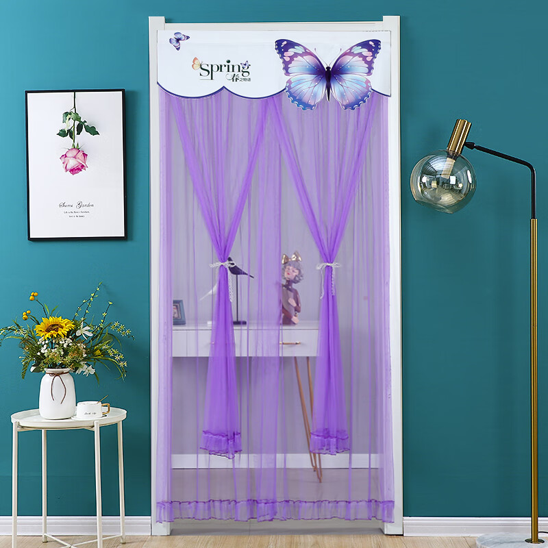 卫亮门帘防蚊虫2024新款杆家用门帘纱帘蕾丝布艺卧室