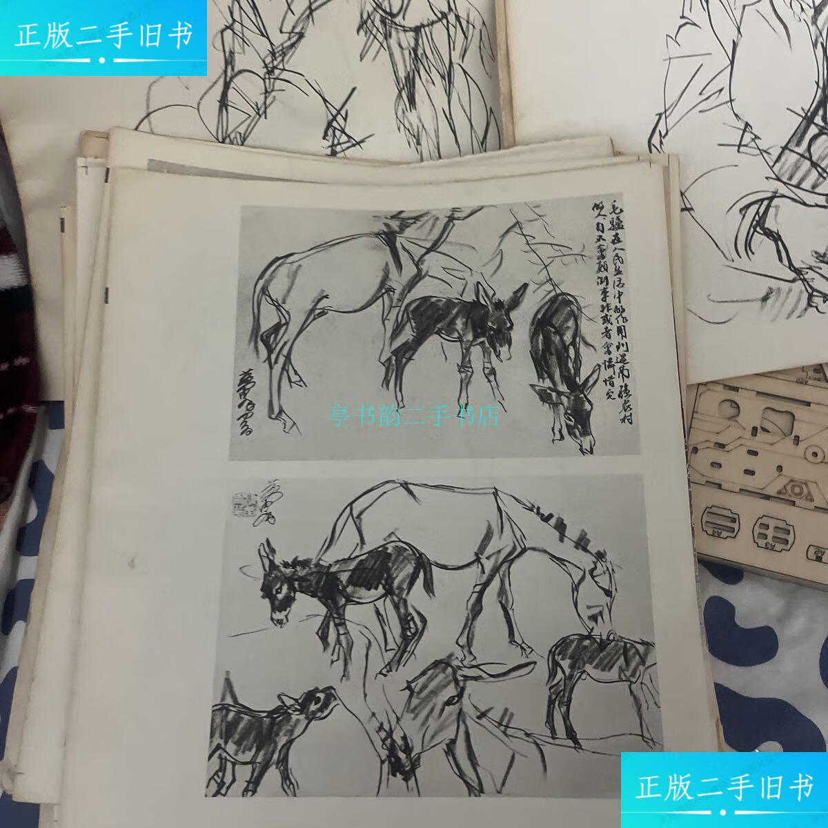 【二手9成新】黄胄素描(散装94页)黄胄 新疆人民出版社