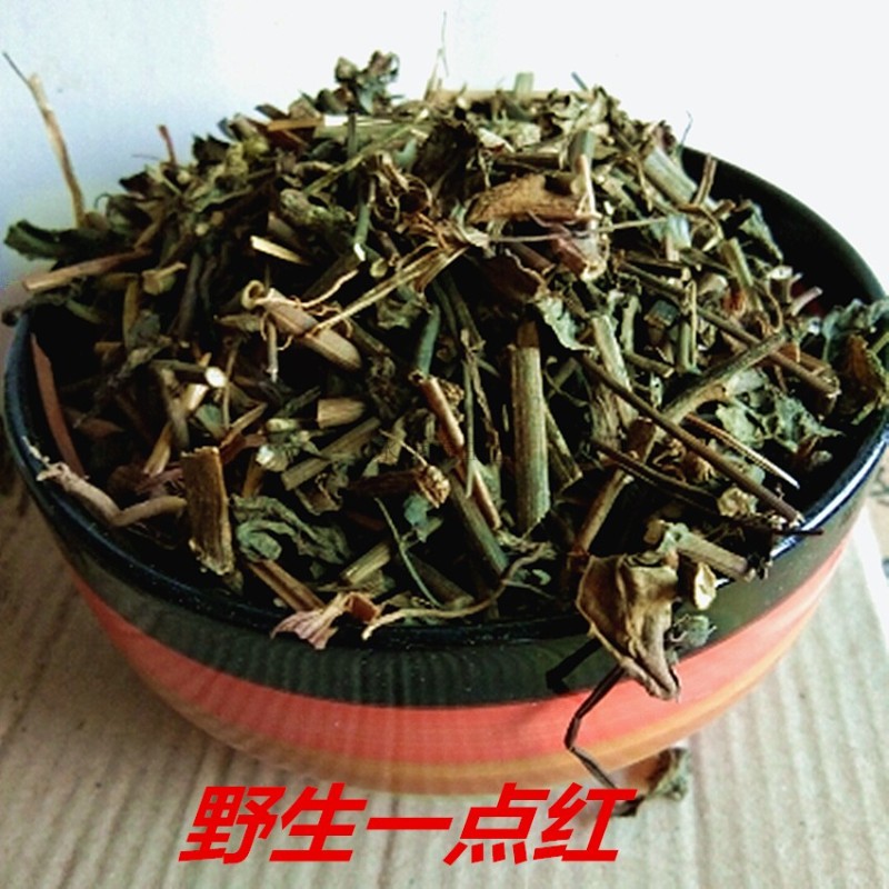 【优选】一点红 中药材新货 叶下红 羊蹄草 红背叶 500克 图片色