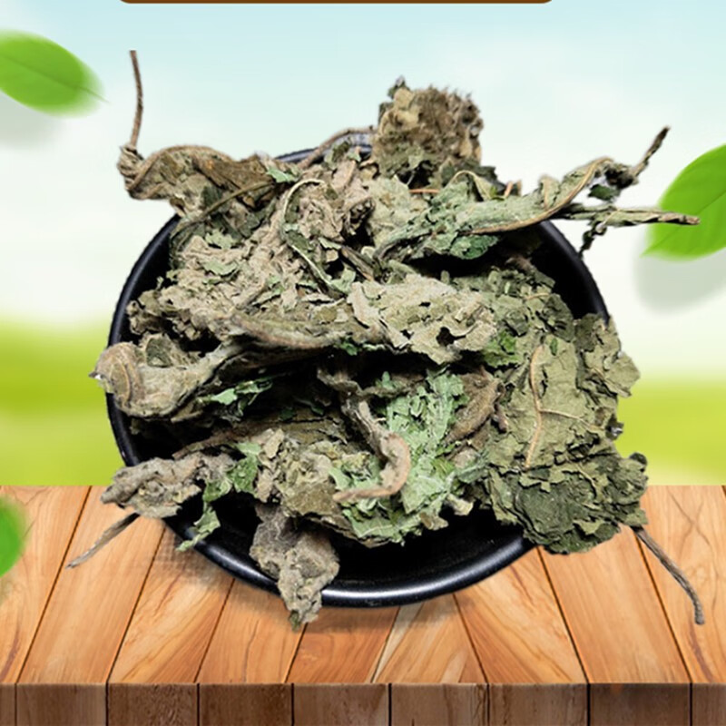 山间谷草 甄选褚桃叶500g楮叶又名构树叶 新鲜干货