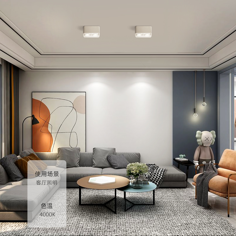 明装射灯led天花灯轻奢防眩客厅无主灯方形单双头筒灯斗胆灯 白色