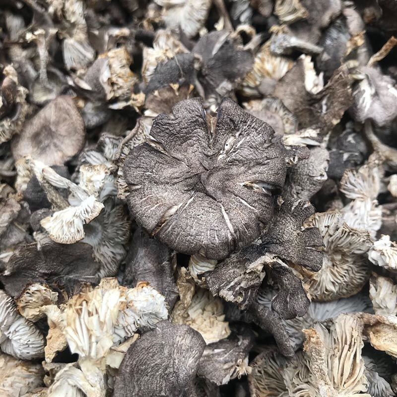 虎钢馋野生小灰蘑草蘑菇新货 棕口灰蘑 野生菌蘑菇干货特产 精品烤干